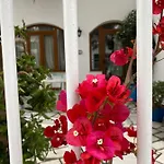Pallada Boutique * Τήνος