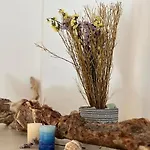 Pallada Boutique Διαμέρισμα *