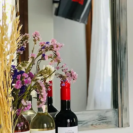 Lägenhet Pallada Boutique Tínos