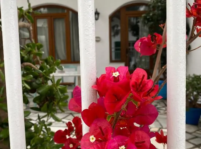 Pallada Boutique * Tínos