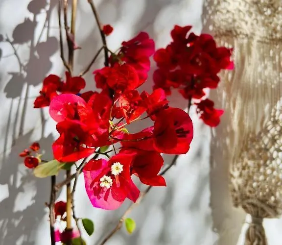 Pallada Boutique Lägenhet