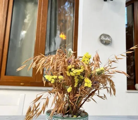 Lägenhet Pallada Boutique