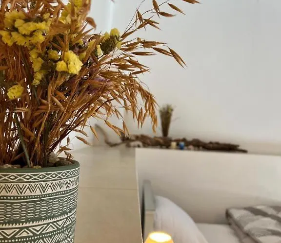 Pallada Boutique Lägenhet Tínos